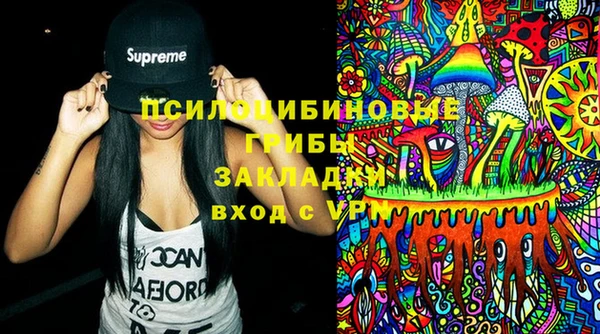МДПВ Алексеевка