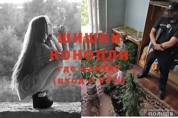 МДПВ Алексеевка